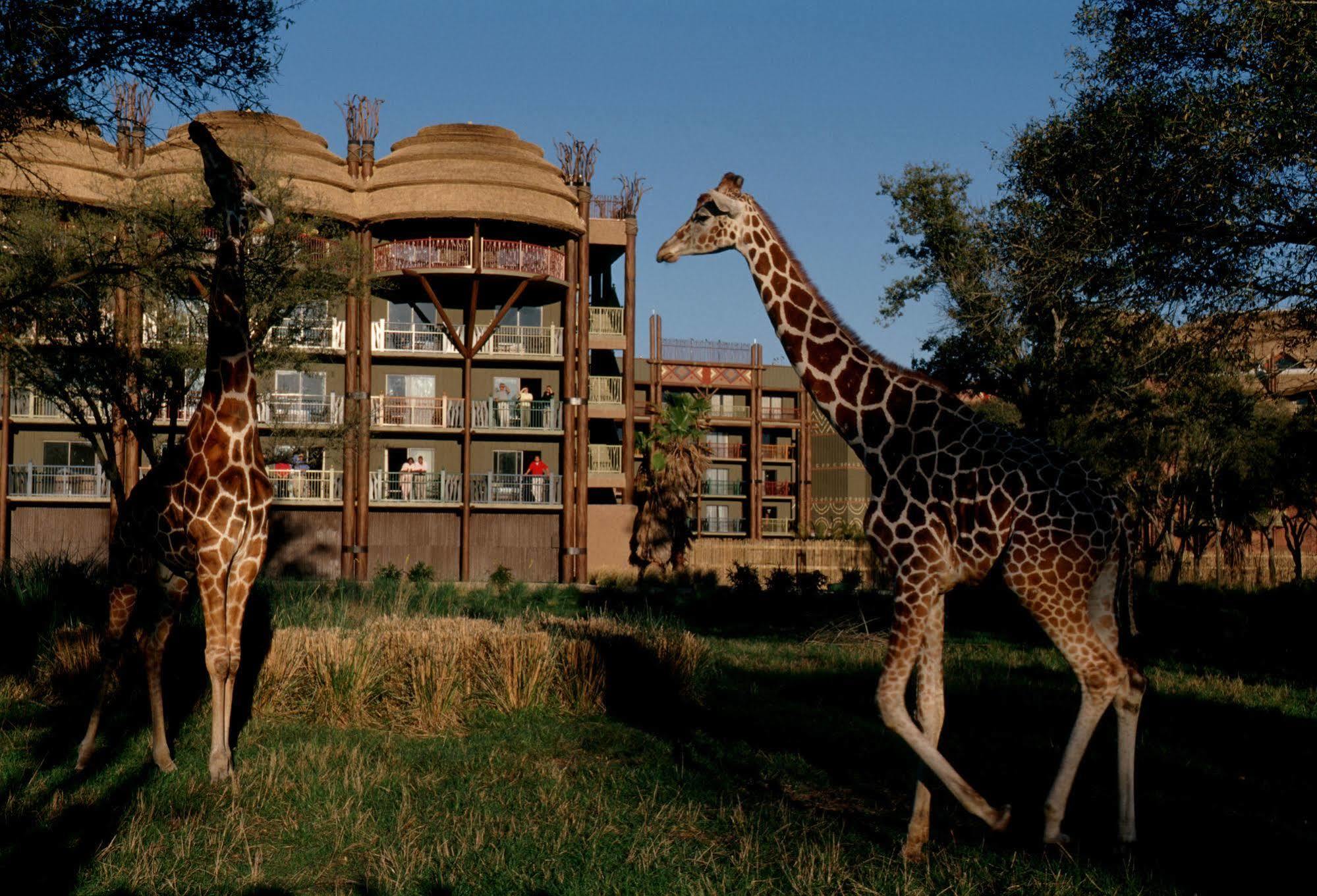 Disney'S Animal Kingdom Villas - Kidani Village Lake Buena Vista Exteriér fotografie